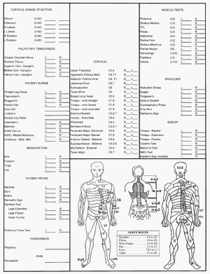 23 Images of Chiropractic Exam Forms Template | leseriail.com