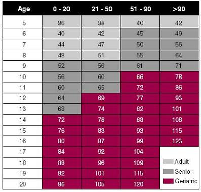 Dog Age Chart | Medical Reference