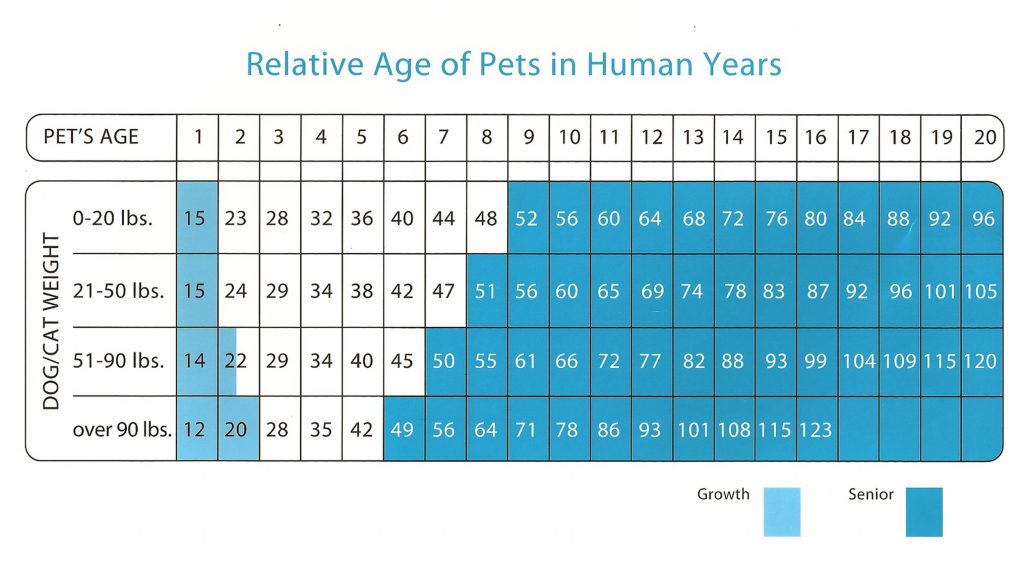 dog chart years