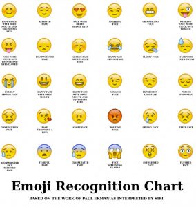 Emoji Definition Chart | amulette
