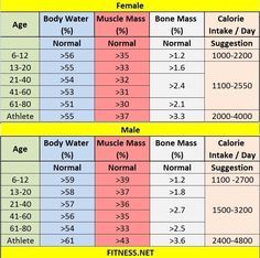 Everything about muscle mass percentage with charts | stuff thats 