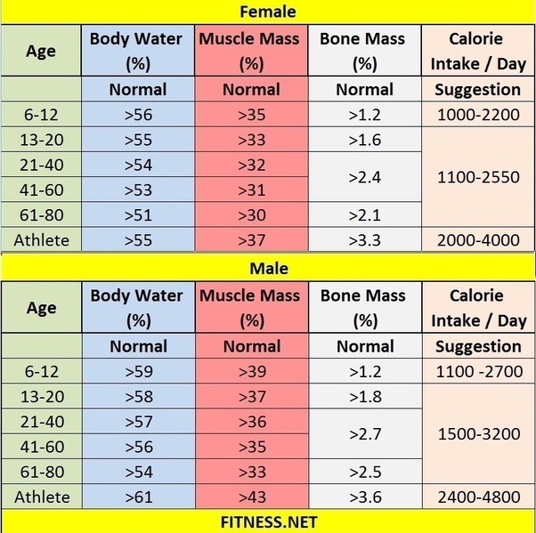 What should be the muscle mass and fat mass in a healthy body? Quora