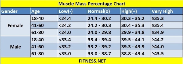 What should be the muscle mass and fat mass in a healthy body? Quora