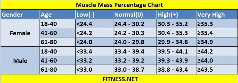 healthy-muscle-mass-percentage-amulette