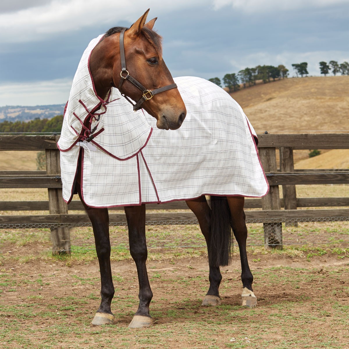 Kool Coat Cotton Combo Horse Rug, Weatherbeeta, Summer Horse 