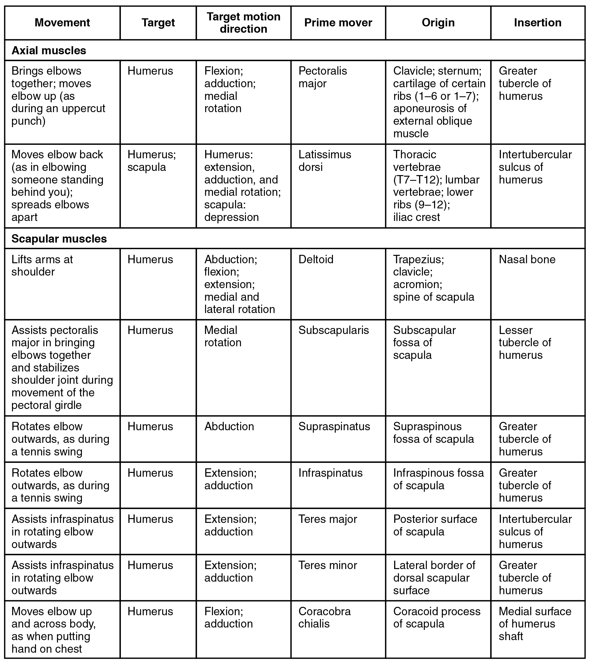 Muscle Origins and Insertions Table | Muscles Chart: | school 