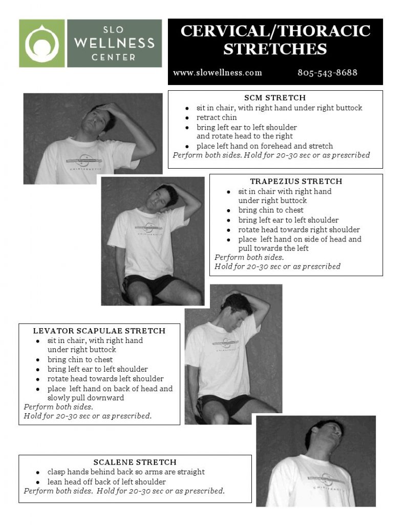 Neck Stretching Exercises Pdf | amulette