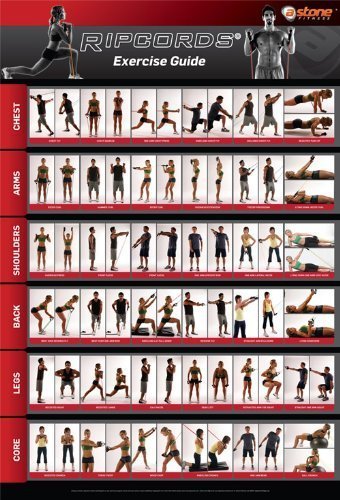 Amazon.: Ripcords Exercise Guide Poster | Resistance Band 