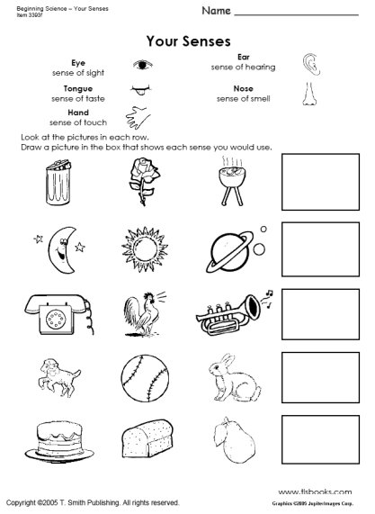 Kindergarten science worksheets pdf#489003 Myscres