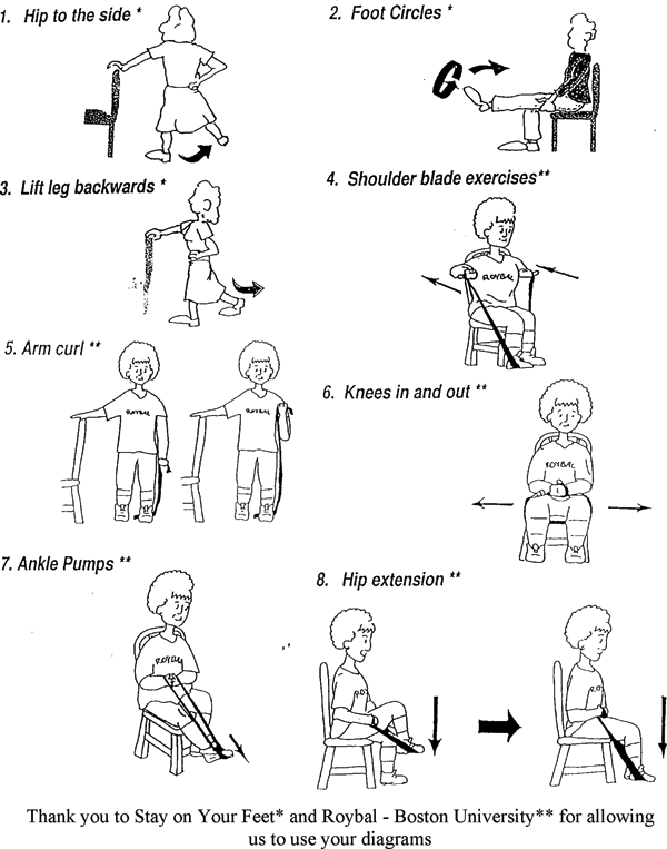 Seated Leg Exercises For Seniors With Pictures Amulette 