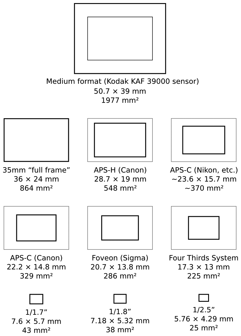 size picture Koto.npand.co