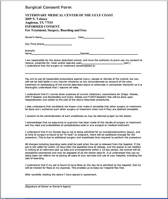 Sample Medical Consent Form | Printable Medical Forms, Letters 