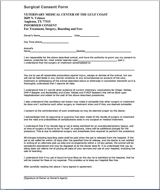 Surgical Consent Forms Templates Amulette 9350