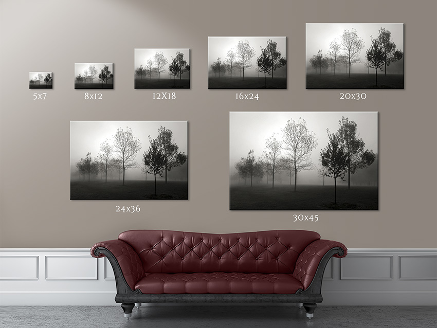 Wall Size Photo Printing | Arts Arts