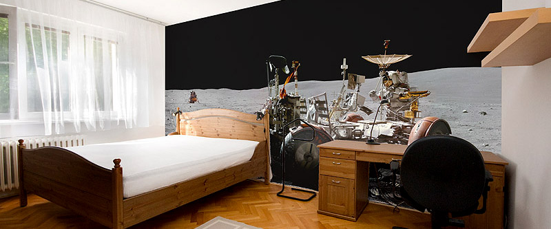 Wall Size Apollo Lunar Landscape Vinyl Banner Space Murals